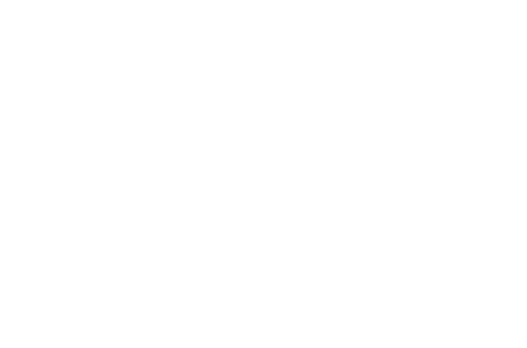 Syed Shah Noor Hussain